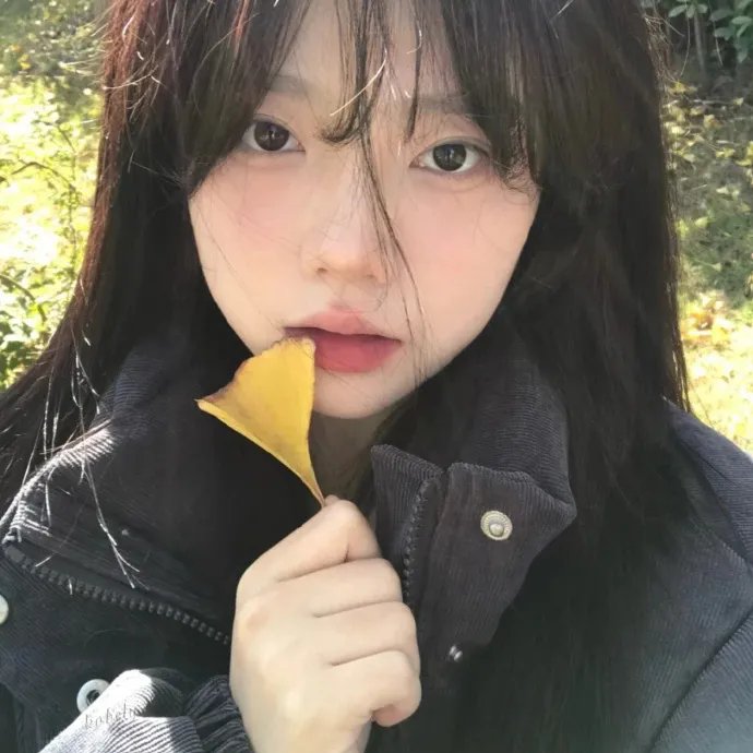 仙女座报告